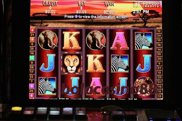 bolacasino88 Slot Rooms Built for Your Lobby